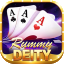 rummy 51 list icon